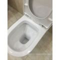 Washdown P-Trap Two Piece Toilet Sanitaryware